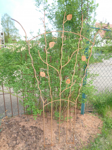 Ranke mit Blättern H150