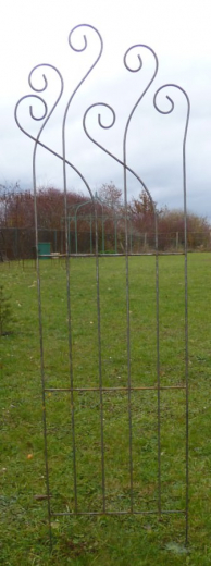 Ranke Breite 55, Höhe 200 cm