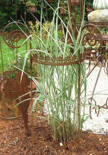 Staudenhalter Blume D60,H100cm