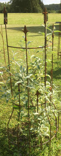 Rankhilfe Eisen-Natur 60x160 cm