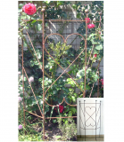 Ranke U-Form m.4 Kugeln - Rost - H 130cm