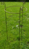 Staudenstütze H 120 cm - Eisen-natur