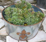 Pflanzgefäß mit Rostornament, D30 H23, zink