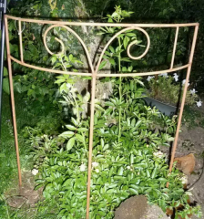 Ranke halbrund - Rost -H 85 cm