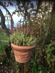 Herzstab offen mit Ring H170, Eisen-Natur