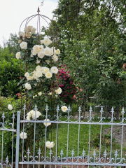 Blumenhilfe/Obelisken H 3 Meter, 2er Set - Eisen natur